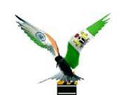 Indo Nigerian Film Association